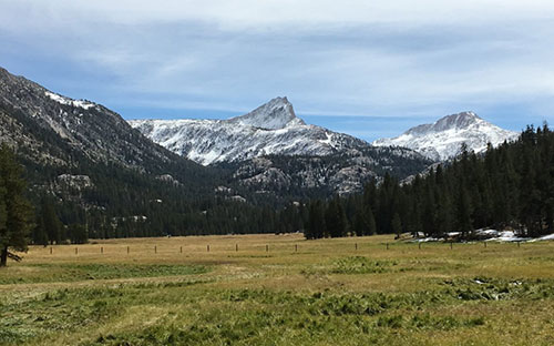 Upper Piute Meadows